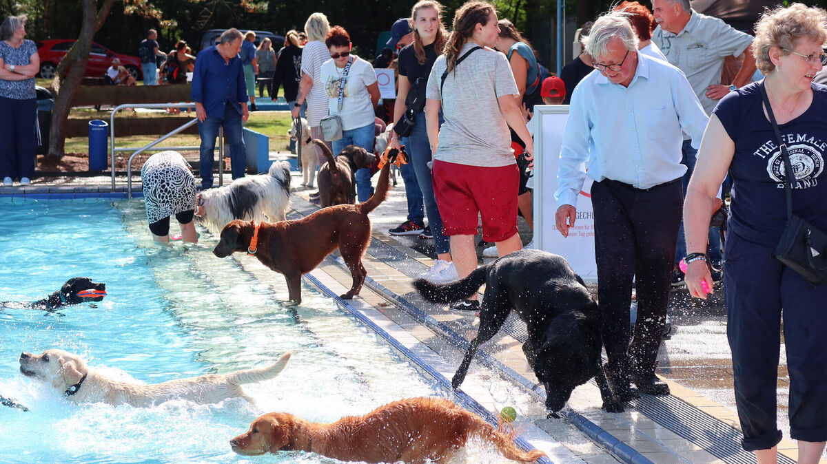 Sonne, Wasser – und jede Menge Fellnasen, die ganz aus dem Häuschen sind: Das ist der Hundebadetag 2025. Foto: Tonn