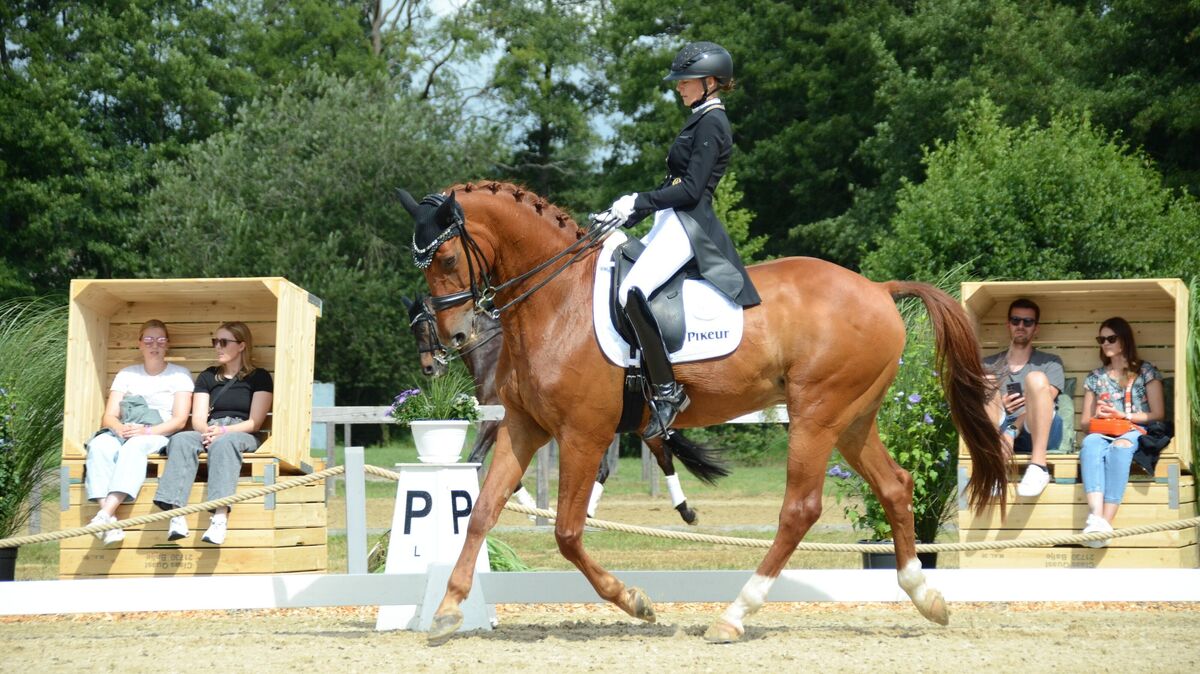 Die Holsteiner Stute Lavaletta mit ihrer Reiterin Tessa Frank bei ihrer überzeugenden Vorstellung im Dressurparcours für den Grand Prix Special, dem abschließenden Höhepunkt der Dressurwettbewerbe beim Dobrock-Turnier. Foto: Rohde