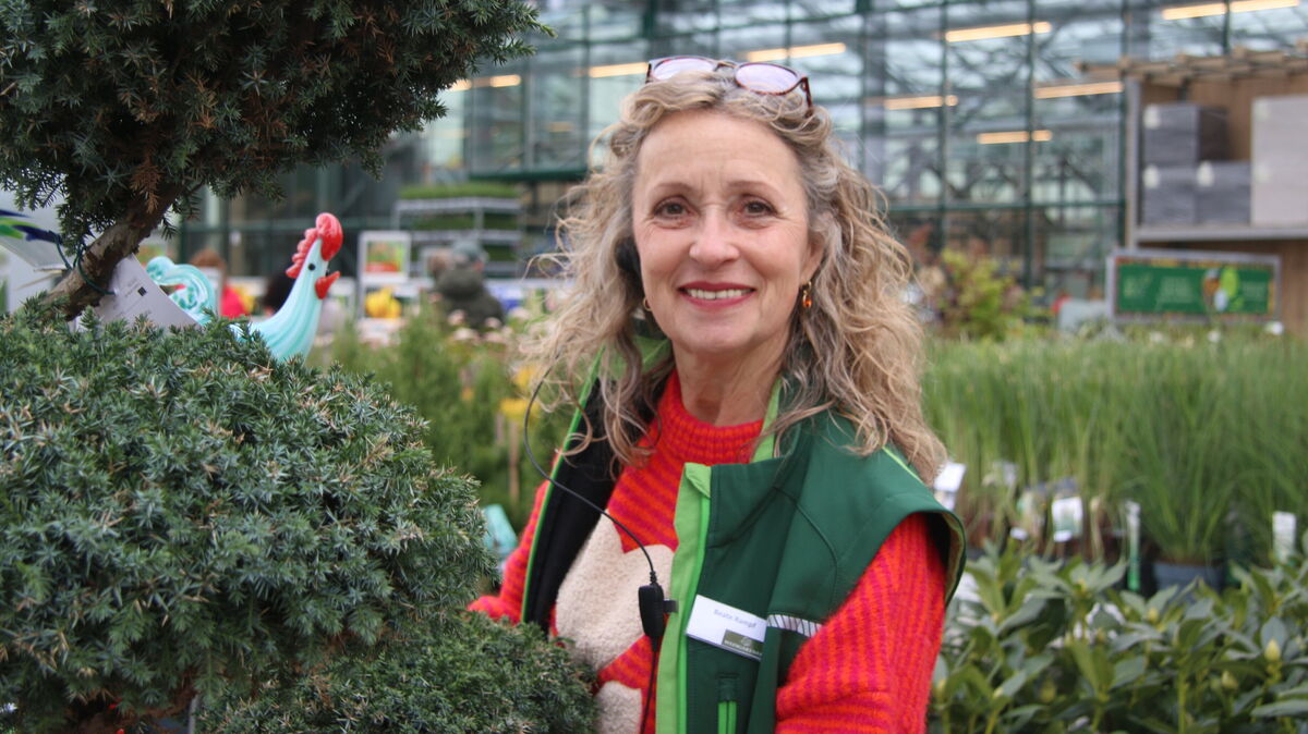 Marktleiterin Beate Rampf in ihrem Element – zwischen jungen Bäumen und frischem Grün in der Baumschule des neuen Gartencenters Weingärtner in Cuxhaven. Foto: Potschka