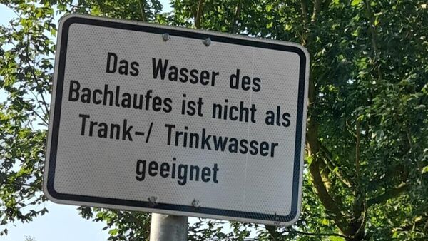 Hundeauslaufplatz in Hemmoor in der Kritik - Samtgemeinde kündigt Ortstermin an