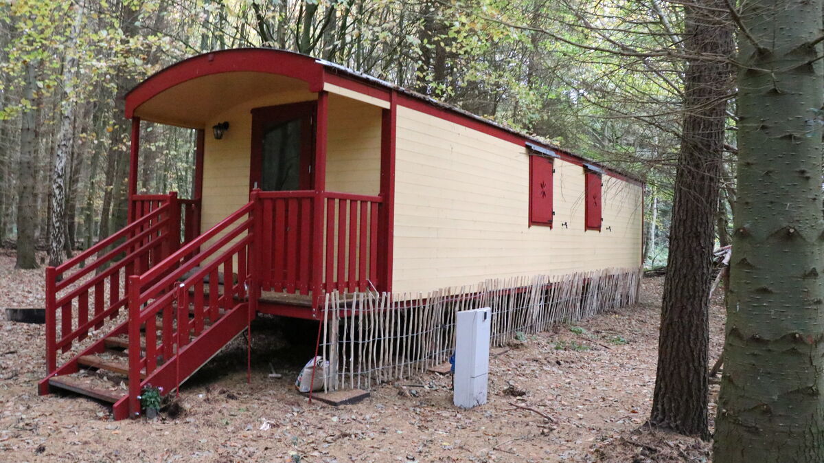 Das neue Domizil des Waldkindergartens sieht ein bisschen aus wie ein Zirkuswagen. Im Prinzip ist das Gefährt betriebsbereit, der Umzug wird sich aber verschieben. Foto: Mangels