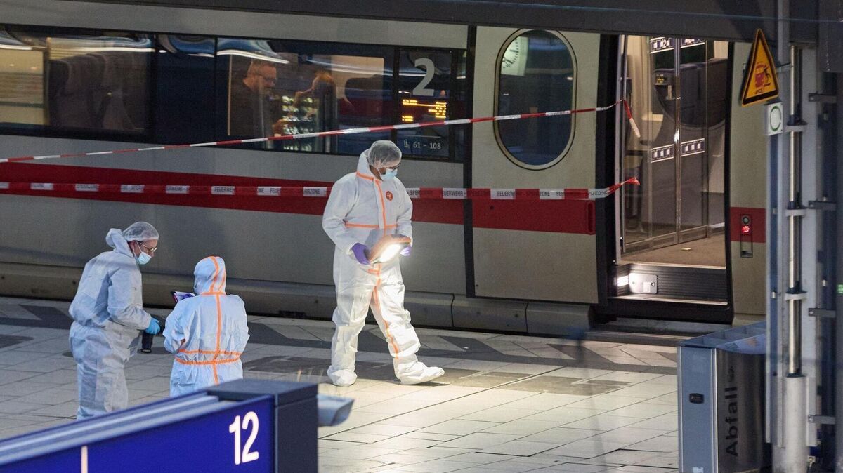 Die 39-Jährige attackiert Passanten am Hamburger Hauptbahnhof. Zwei Passanten stoppen die Frau. Ermittlungen zu ihrer psychischen Verfassung dauern an. Foto: Georg Wendt/dpa