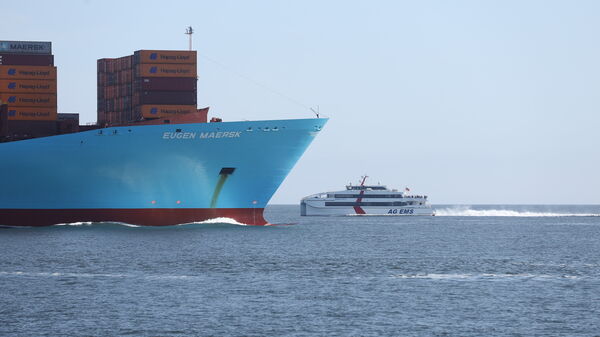 Die schönsten Schiffsausflüge ab Cuxhaven: Seehunde, Helgoland und Neuwerk erleben