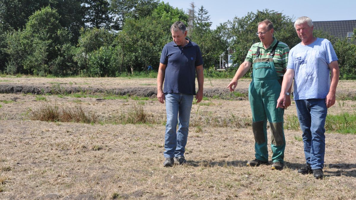 Eine Mäuseplage in Steinau-Höring bedroht landwirtschaftliche Existenzen. Foto: Kramp