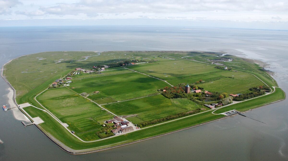 Nur 20 Insulaner leben auf der kleinen Insel in der Nordsee - in der Saison kommen lediglich Saisonarbeiter und Touristen hier her. Wenn es nach der AfD in Hamburg geht, soll sich das ändern. Foto: Schröder