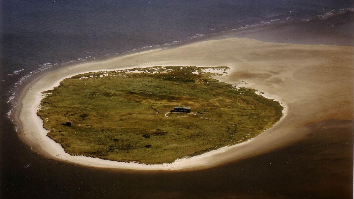 Die Vogelschutzinsel Scharhörn in der Elbmündung. In einem Abstand von 1,5 Kilometer will Hamburg eine Ablagerungsstelle für Hafenschlick aus dem Hamburger Hafen einrichten. Umweltschützer laufen Sturm dagegen. Foto: red