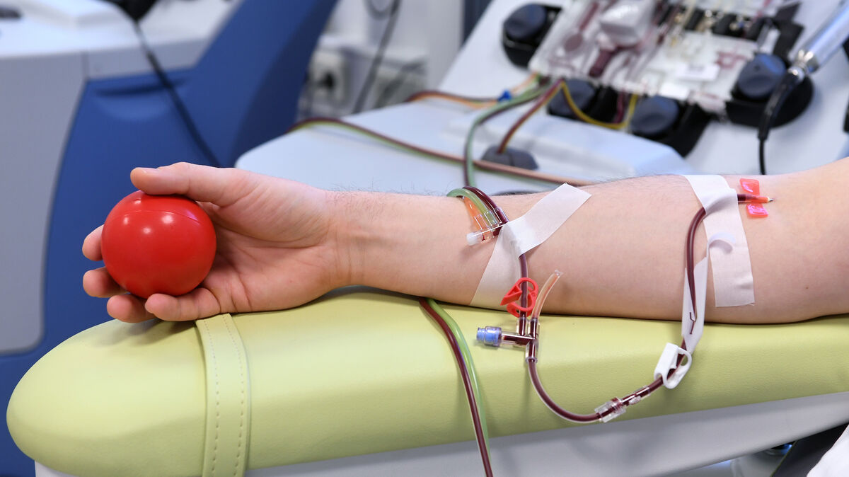 Ein Stammzellspender liegt am 21.12.2016 während der Apherese auf einer Liege im Institut für Transfusionsmedizin in Chemnitz (Sachsen). Bei dem jungen Mann aus Berlin wird die 1000. Spende der Stammzellspenderdatei Ost (DSSD-Ost) für eine schwerkranke Patientin entnommen. Derzeit sind 80000 Spender in der Datei des DRK-Blutspendedienstes Nord-Ost erfasst. Die Stammzellen werden an Leukämiepatienten oder Patienten mit anderen lebensbedrohlichen Erkrankungen des blutbildenden Systems vermittelt. Die DSSD-Ost besteht 2016 seit 25 Jahren. Foto: Hendrik Schmidt/dpa-Zentralbild/dpa ++ +++ dpa-Bildfunk +++