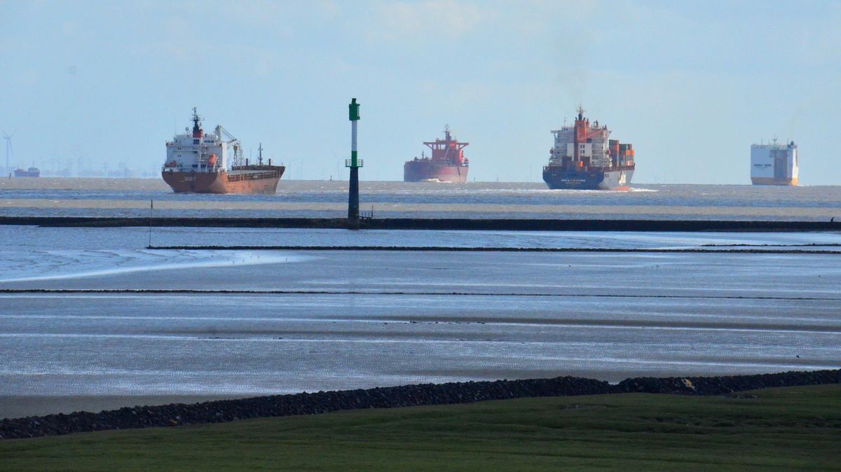 Die Unterelbe ist die meist befahrene Wasserstraße der Welt. Aber sie ist mit ihren von der Tide beeinflussten dynamischen Prozessen auch ein bedeutender Natur- und Lebensraum für zahlreiche Lebewesen. Umweltschützer sehen das wertvolle Ökosystem durch die Elbvertiefung in Gefahr. Foto: Schröder