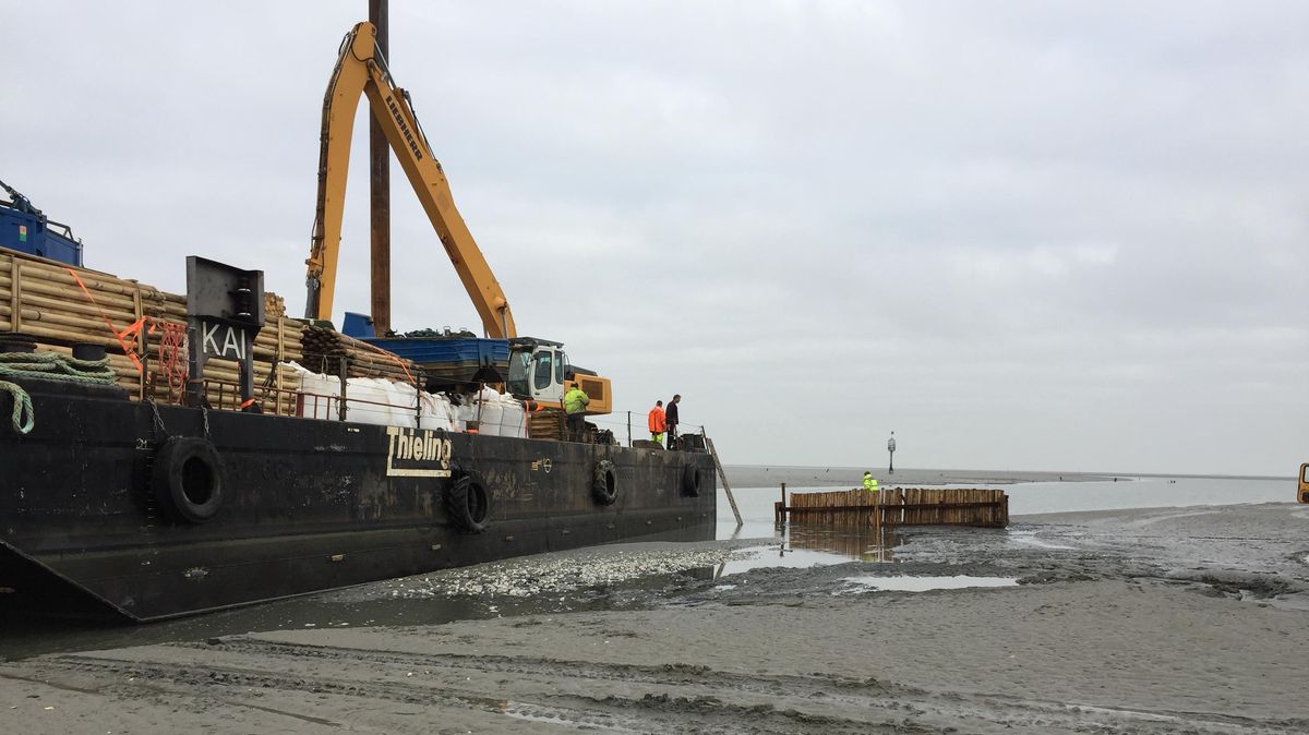 Wasserbauer einer Firma aus Stadland errichten im Auftrag des Niedersächsischen Landesbetriebs für Wasserwirtschaft, Küsten- und Naturschutz (NLWKN) im Bereich des Duhner Lochs eine hölzerne Spundwand. Die Konstruktion soll sandgefüllten "Bigpacks" Halt geben, mit denen man den Wasserzustrom aus Richtung Weser zu begrenzen hofft. Foto: NLWKN