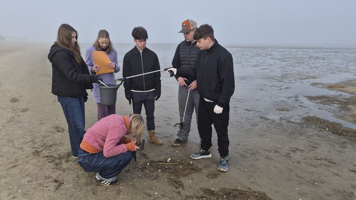 Das Forschungsprojekt führte die Jugendlichen der Freien Waldorfschule einige Male an den Döser Strand, wo sie an mehreren Stellen Material sammelten und kategorisierten. Foto: Waldorfschule