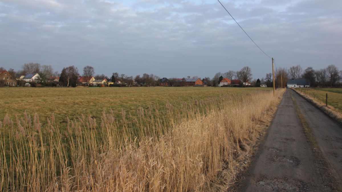Auf dieser Wiese des ehemaligen Hofs Höpcke soll das Neubaugebiet angesiedelt werden. Foto: Sassen