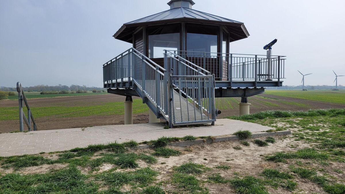Die Beliebtheit des Vogelbeobachtungsturms im Deich bei Dorum-Neufeld zeigt deutliche Spuren - auch außerhalb der gepflasterten Deichkrone. Foto: Leuschner