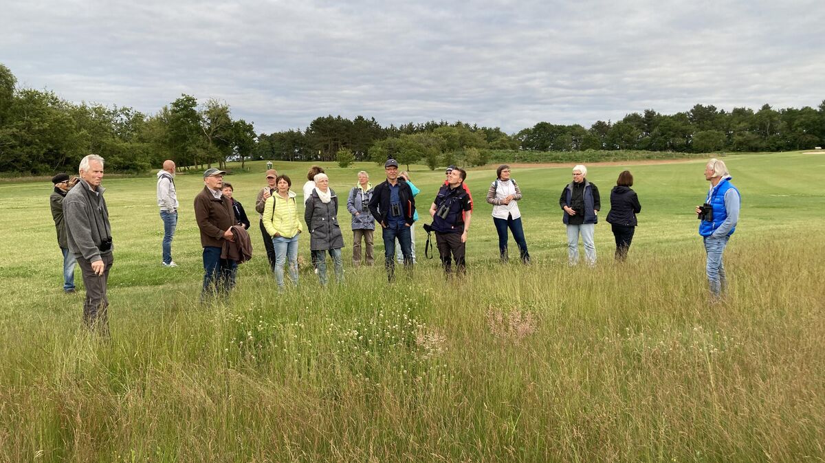 Die unterschiedlichen Landschaftsformen des Golfplatzes sind auch ein guter Ort zur Vogelbeobachtung. Foto: Ottow