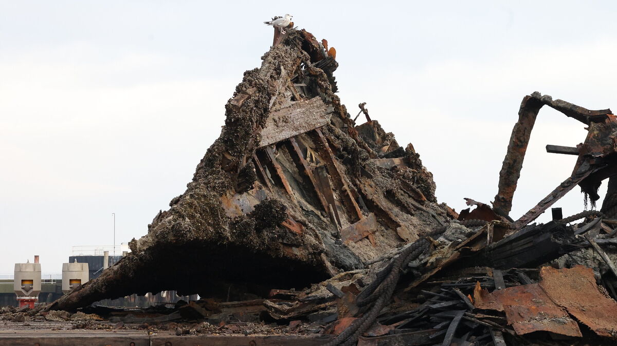 150 Jahre am Grund der Elbe. Im Hafen liegen die Reste eines Schiffes, welches 1856 in Schottland gebaut wurde und zwischen Glasgow und Hamburg verkehrte. Foto: Larschow