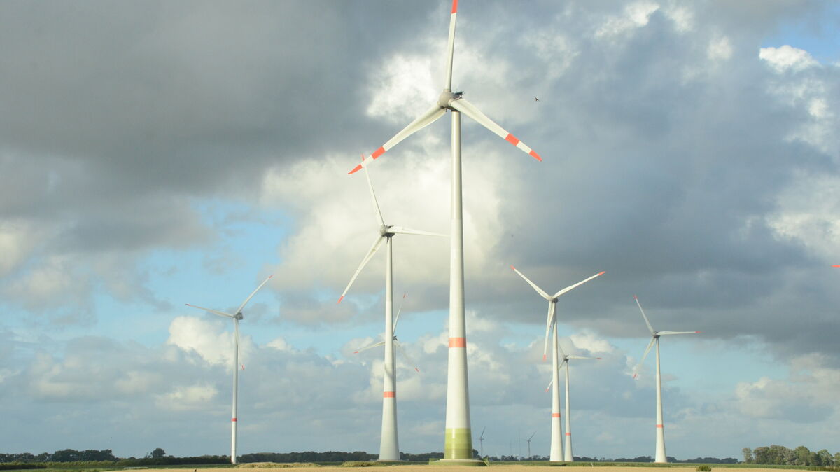Die Samtgemeinde Börde Lamstedt begrüßt Windparkprojekte auf ihrem Gebiet, so auch die Planungen der Moorstrom Niederelbe. Allerdings besteht wegen des noch ausstehenden Regionalen Raumordnungsprogramms des Landkreises ein erhebliches Planungsrisiko. Archivfoto: Rohde