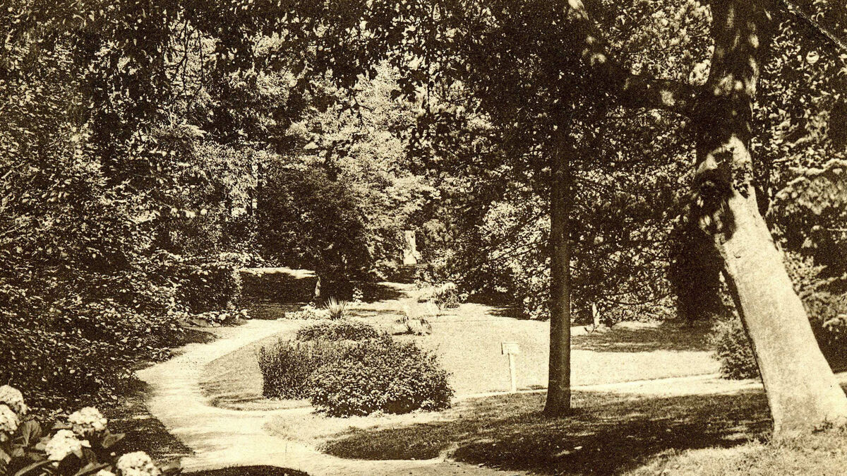 Ein historischer Blick in den Schlossgarten Ritzebüttel (1908), der die natürliche Schönheit und Ruhe des Parks in Cuxhaven einfängt. Foto: Stadtarchiv Cuxhaven