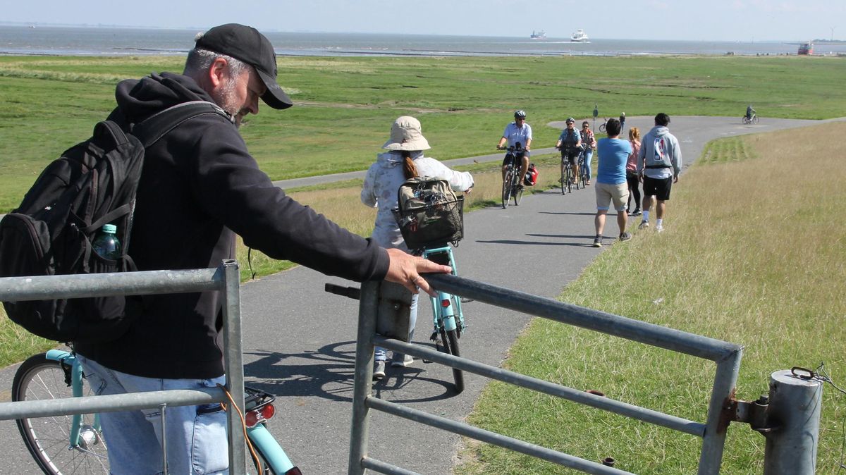 Altenbrucher Deich: Der Altenbrucher Ortsrat kritisiert die Städte Cuxhaven und Otterndorf, die die versprochenen Kontrollen am Deichabschnitt zwischen Altenbruch und Otterndorf angeblich nicht durchgeführt haben. Der Deichschäfer klagt über massive Probleme mit uneinsichtigen Touristen. Foto: Sassen