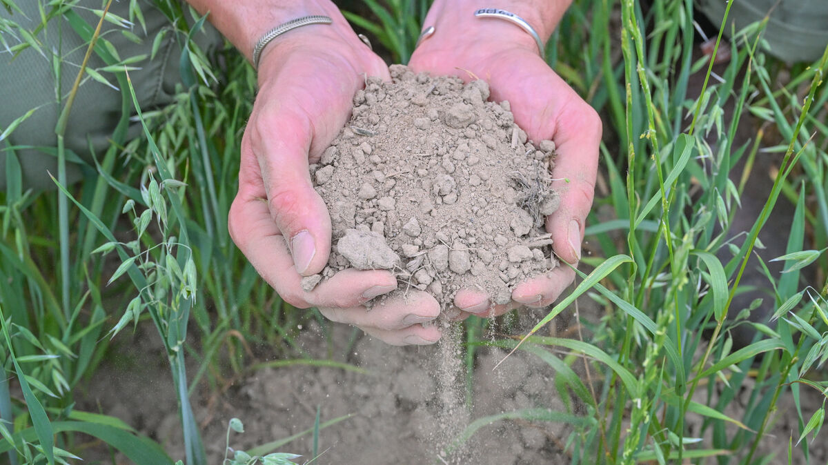 Werden landwirtschaftlich genutzte Flächen zunehmend ein Spekulationsobjekt? Ein Agrarstrukturgesetz soll das in Niedersachsen verhindern. Foto: Patrick Pleul/dpa
