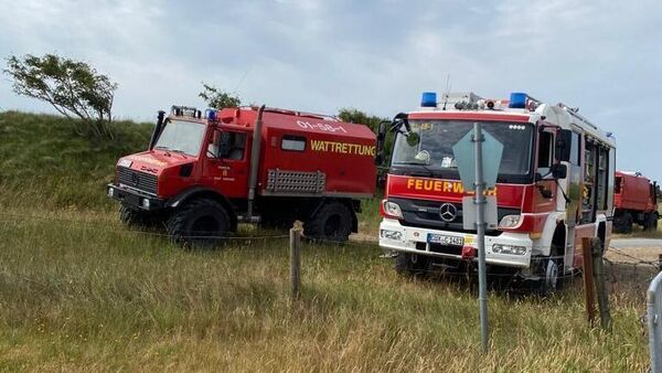 Drama um Pferd im Watt vor Cuxhaven-Duhnen: Tier nach Reitunfall verstorben