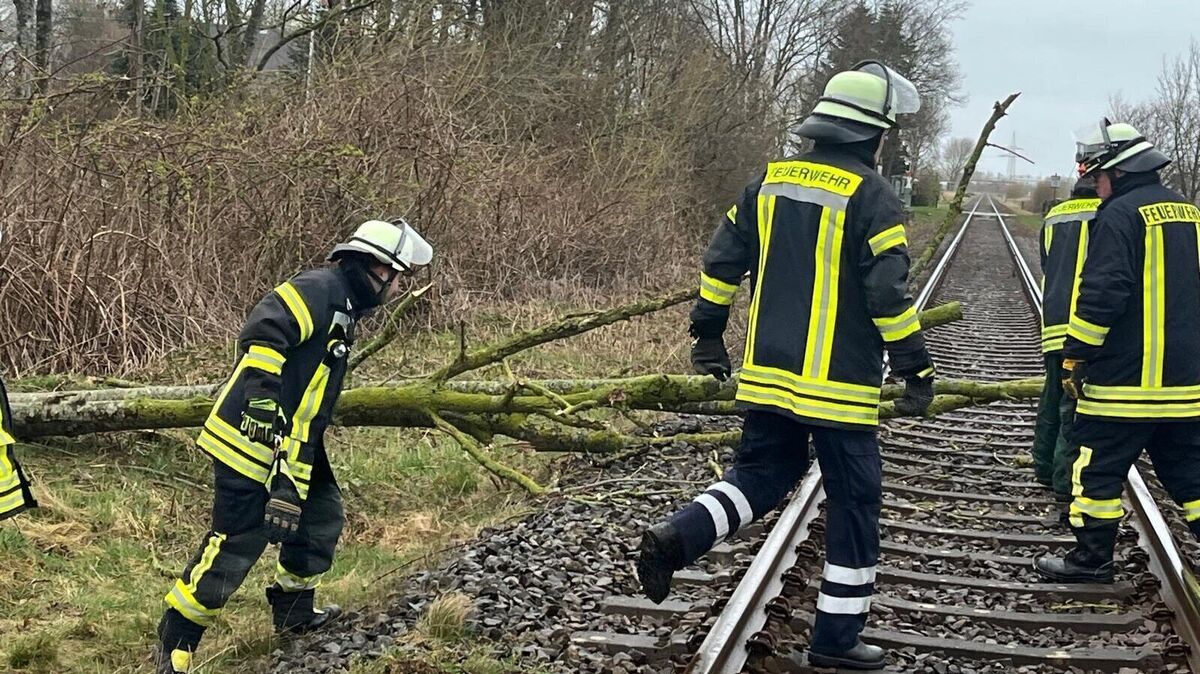 Kurz nach 9.15 Uhr heulten in Altenwalde die Sirenen. Die Freiwillige Feuerwehr Altenwalde rückte aus, um nahe dem Bahnübergang Heerstraße einen umgestürzten Baum von den Gleisen zu holen. Auch Stadtbrandmeister Dennis Joost war vor Ort. Foto: Feuerwehr Stadt Cuxhaven