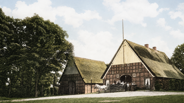 Von der Holznot zum Wald der Wingst