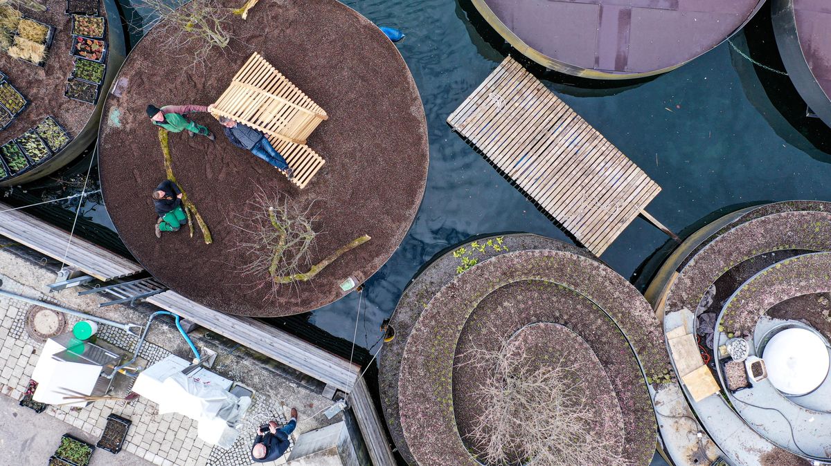 "Schwimmende Gärten" (hier ein Bild von der Landesgartenschau am Bodensee) finden sich auch im Cuxhavener Bewerbungskonzept. Eingereicht werden soll Letzteres nun erst in vier Jahren. Foto: Felix Kästle/dpa