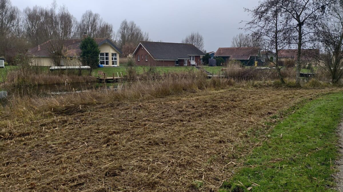 Am Otterndorfer See Achtern Diek kam es zu Mäharbeiten, bei denen drei Igel getötet wurden. Das Areal wurde weitflächig abgemäht, wie auf den Fotos zu erkennen ist. Foto: privat
