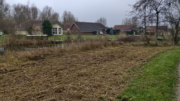 Geschredderte Igel: Stadt Otterndorf und Landkreis reagieren - Fragen bleiben offen