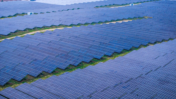 Solarpark: Agri-PV soll nach Lamstedt-Nindorf kommen