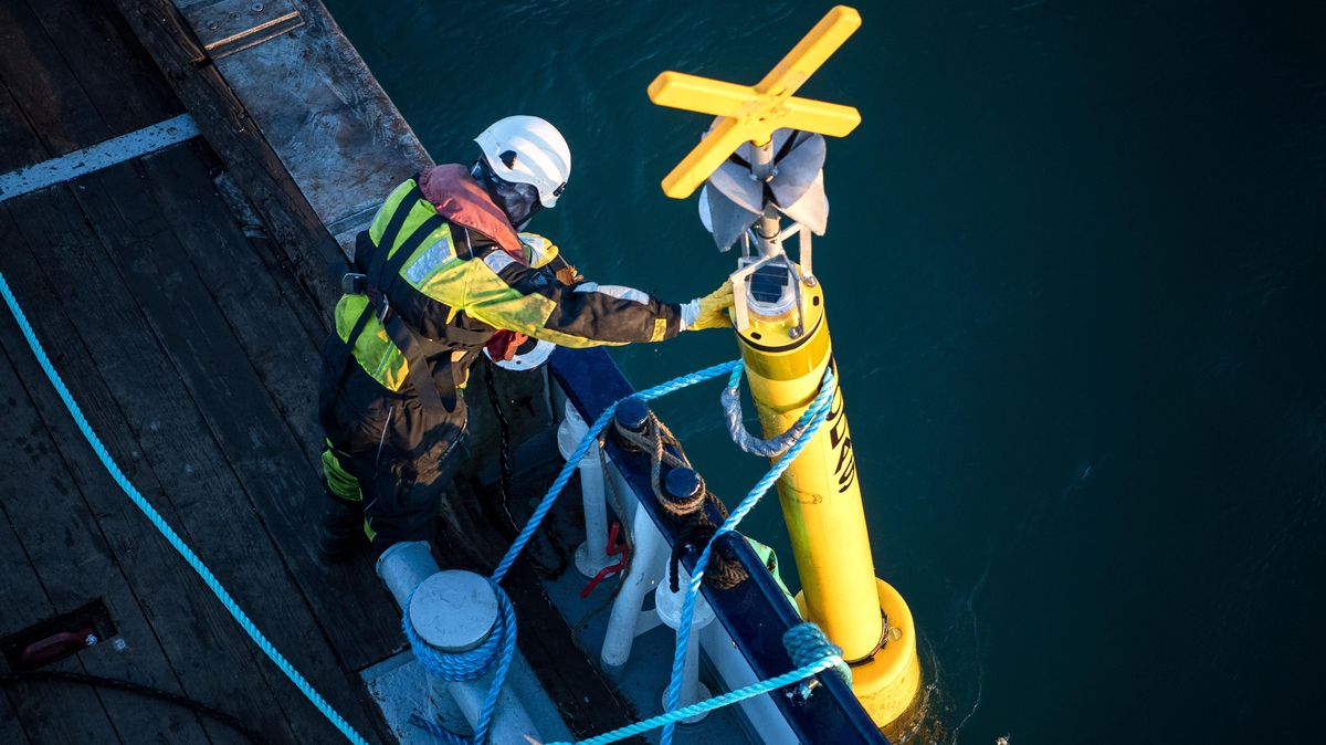 Eine Tonne wird zu Wasser gelassen. Foto: Sina Schuldt/dpa