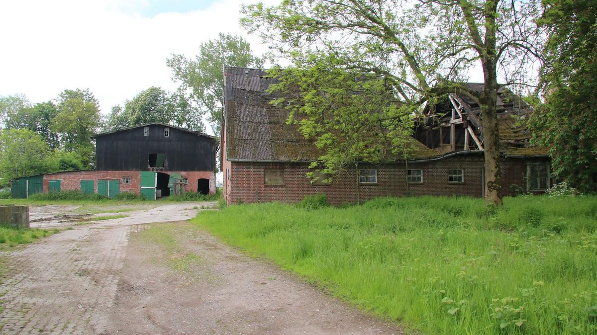 Auf diesem Hof im Cuxhavener Ortsteil Lüdingworth haben Unbekannte in der vergangenen Woche mehrere Gänse, Enten, Hühner und Küken brutal erschlagen. Unweit des Tatorts hat sich ein weiterer, ganz ähnlicher Vorfall ereignet. Foto: Potschka