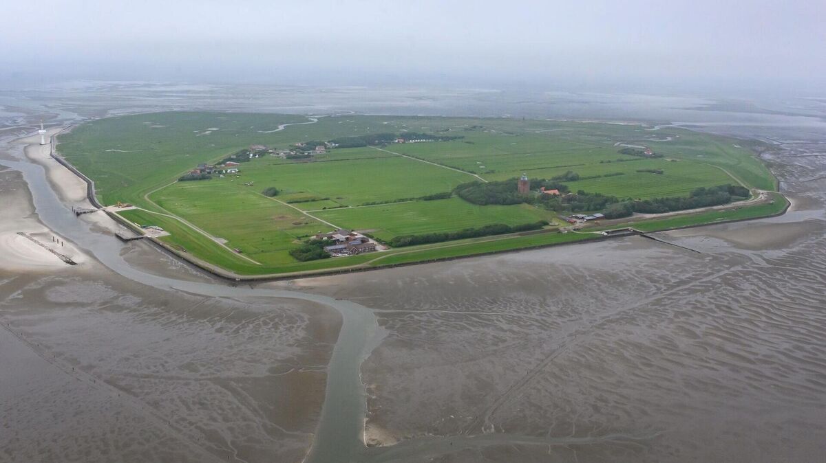 Die Insel Neuwerk liegt im Watt in der Nordsee nahe der Elbmündung. Foto: Walzberg/dpa