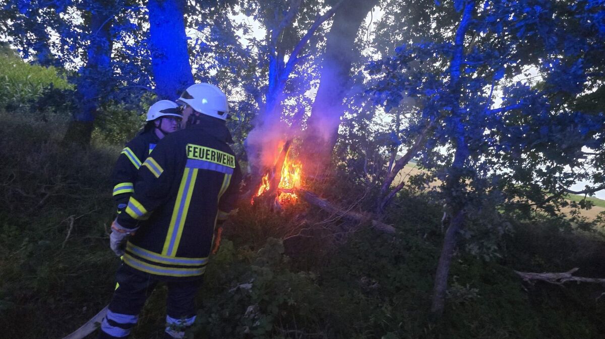 Einsatzkräfte der Feuerwehr löschen einen Brand an einem Baumstamm auf einem Wirtschaftsweg in Wanna. Die Polizei ermittelt wegen des Verdachts auf vorsätzliche Brandstiftung. Foto: Feuerwehr