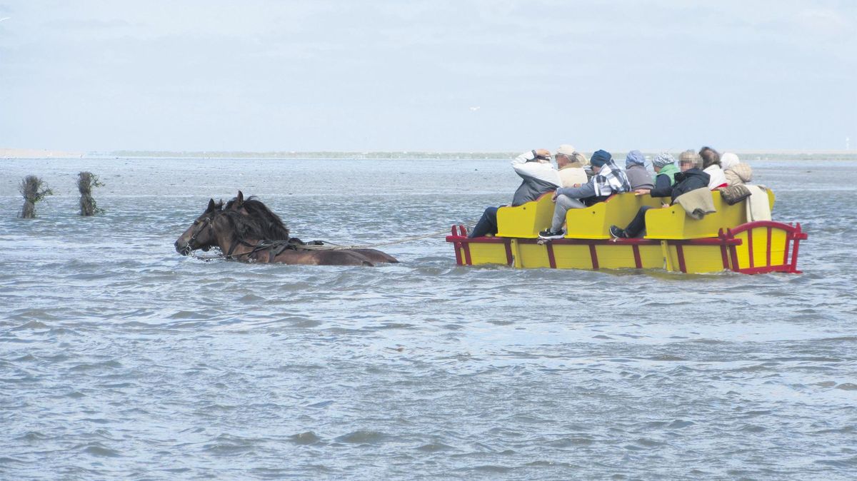 Das Foto aus dem Jahr 2018 zeigt, wie tief das Duhner Loch ist. Bei einem Wasserstand von 1,30 Metern ist kein Durchkommen mehr, dann müssen die Wattwagenfahrer umkehren. In diesem Winter war dies bei etwa der Hälfte der Fahrten der Fall. Archivfoto: Roland