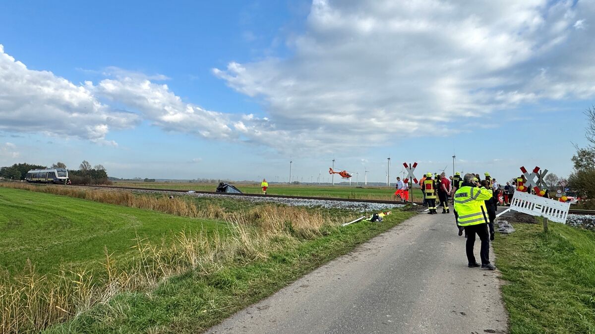 Der Zug war erst einige Meter nach der Kollision zwischen zwei Weiden zum Stehen gekommen. Foto: Keck