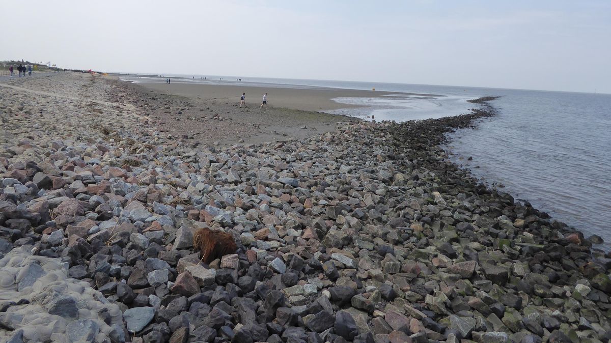Etwa 300 Meter von der Kugelbake entfernt stand eine Person hüfttief im Wasser am Leitdamm. Foto: Reese-Winne