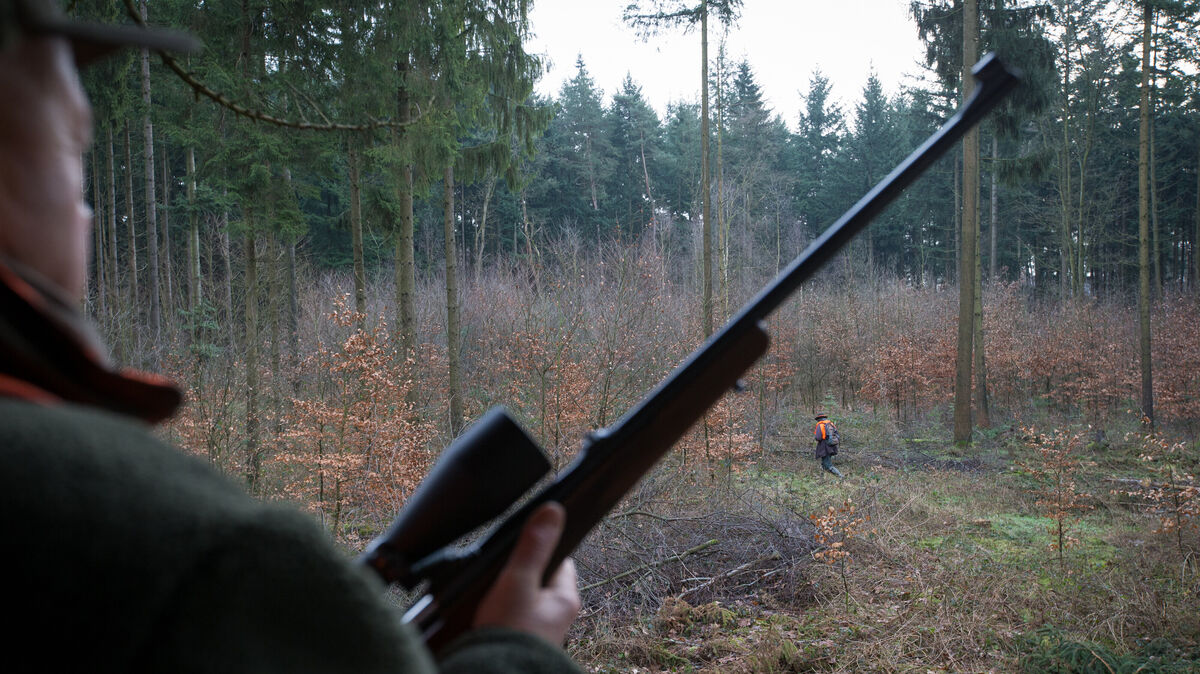 Fast 470.000 Menschen in Deutschland besitzen einen Jagdschein. Innerhalb von drei Jahrzehnten ist die Zahl um 42 Prozent gestiegen. Auch Frauen jagen immer öfter. Foto: Friso Gentsch/dpa