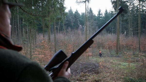 Jagdschein-Boom im Kreis Cuxhaven: Auf 100 Einwohner kommt ein Jäger 