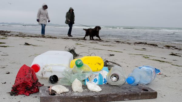 Plastikobjekte verdrecken die Nordsee