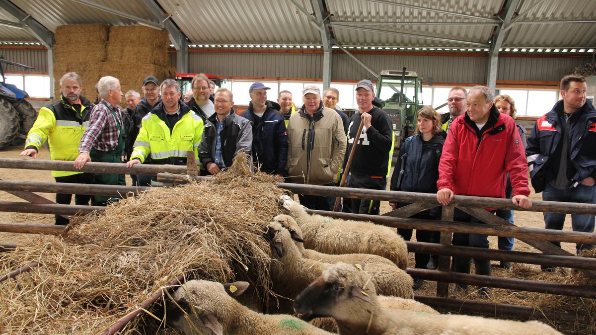 Noch im Herbst 2017 hatten sich die Mitglieder des Deichverbandes bei Deichschäfer Kay Krogmann (mit Forke) über die zunehmenden Probleme mit Hunden und Wölfen erkundigt. Archivfoto: Sassen