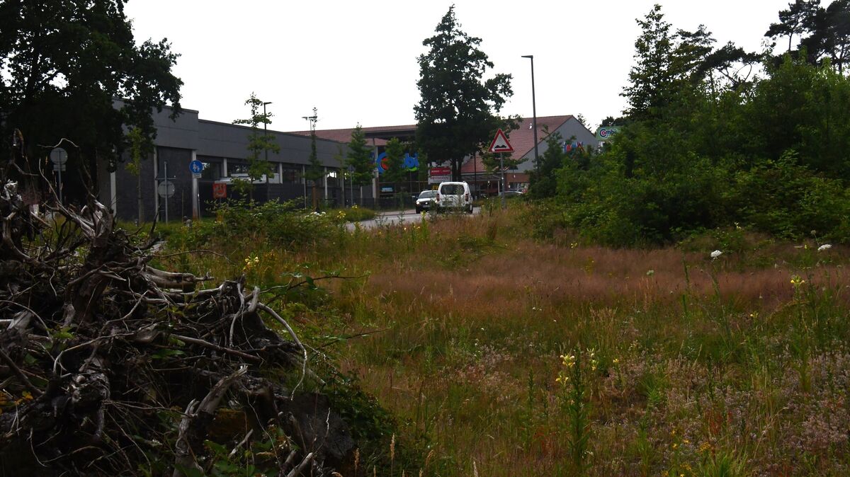 Auf der vor rund fünf Jahren gerodeten Fläche an der Otto-Peschel-Straße im Hemmoorer Zentrum sollten eigentlich Wohn- und Geschäftshäuser entstehen. Doch davon ist bis heute nichts zu sehen. Foto: Schröder