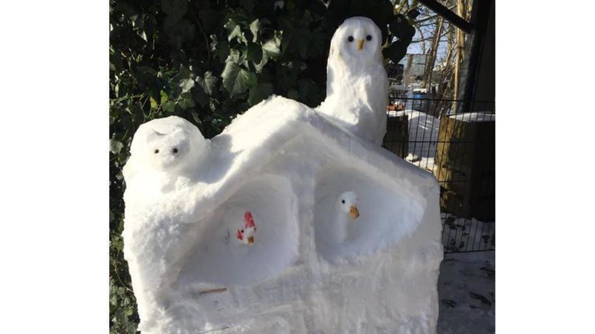 Im Fenster haben es sich Huhn und Ente gemütlich gemacht. Von oben herab wachen Katze und Eule über das Haus. Foto: Carstensen-Roeben