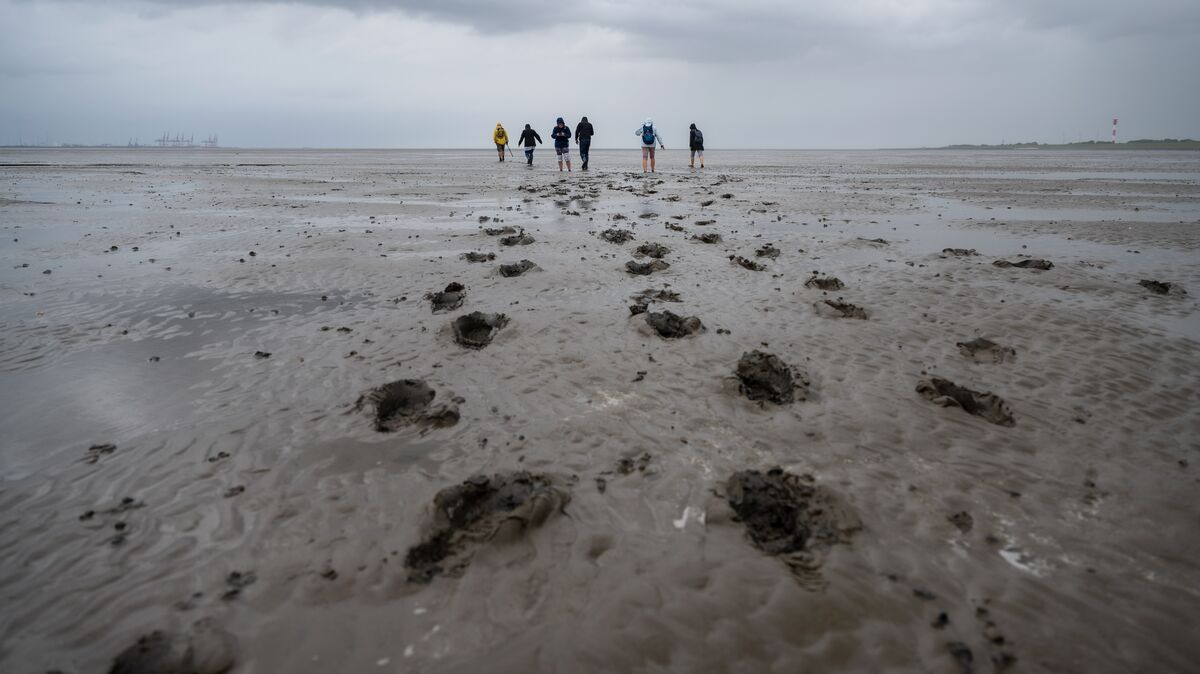 Das Watt ist Schauplatz des neuen Krimis von Michael Romahn. Archivfoto: Sina Schuldt/dpa