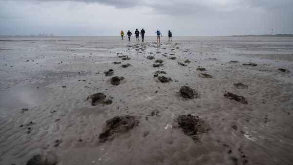 "Vergeltung im Watt": Das steckt hinter dem neuen Krimi mit Cuxhavener Lokalkolorit