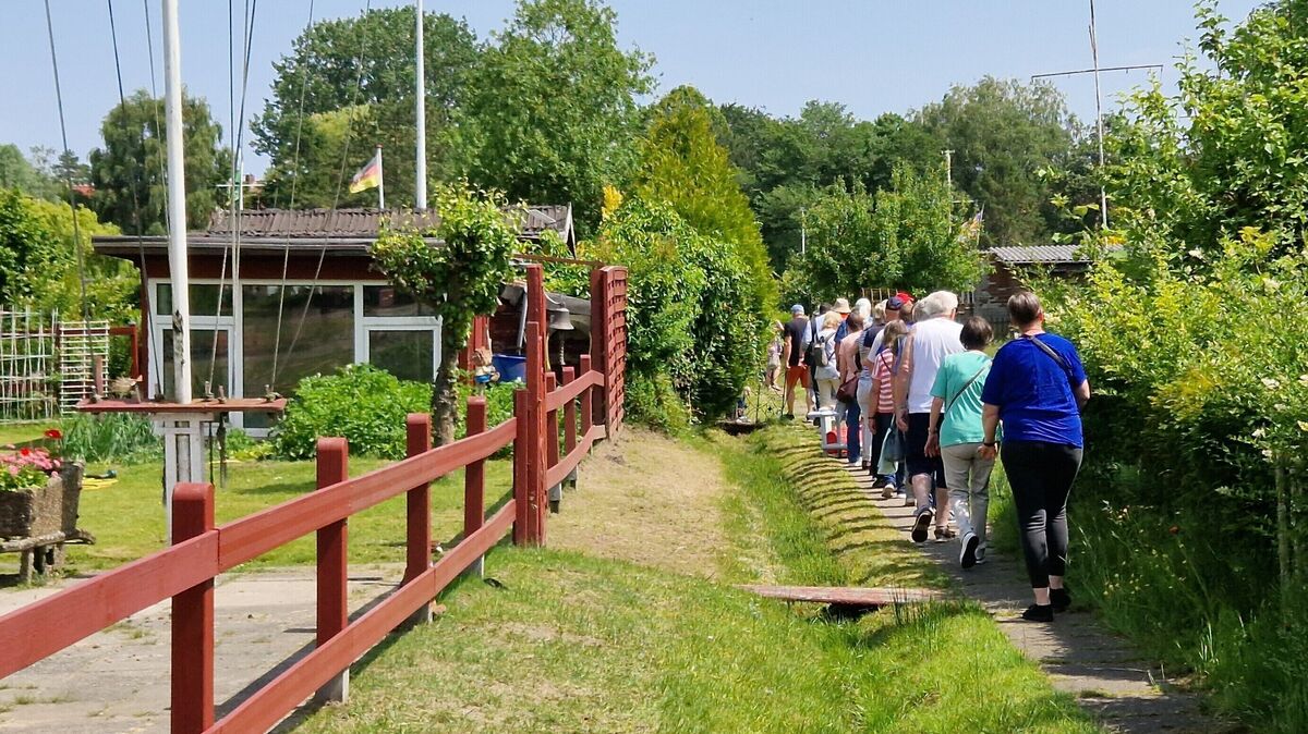 Im Gänsemarsch geht es bei der Kleingartenbegehung durch die 38.000 Quadratmeter große Anlage "Edelweiß" in Cuxhaven. Foto: Larschow