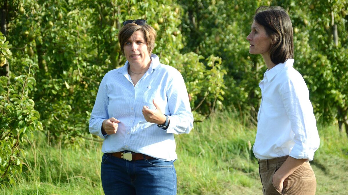 Johanna Schaeper, Obstbäuerin aus Geversdorf (l.), im Gespräch mit Niedersachsens Landwirtschaftsministerin Miriam Staudte, die im Rahmen ihrer Sommerreise Betriebe und Institutionen besucht, die von Frauen geführt werden. Foto: Rohde