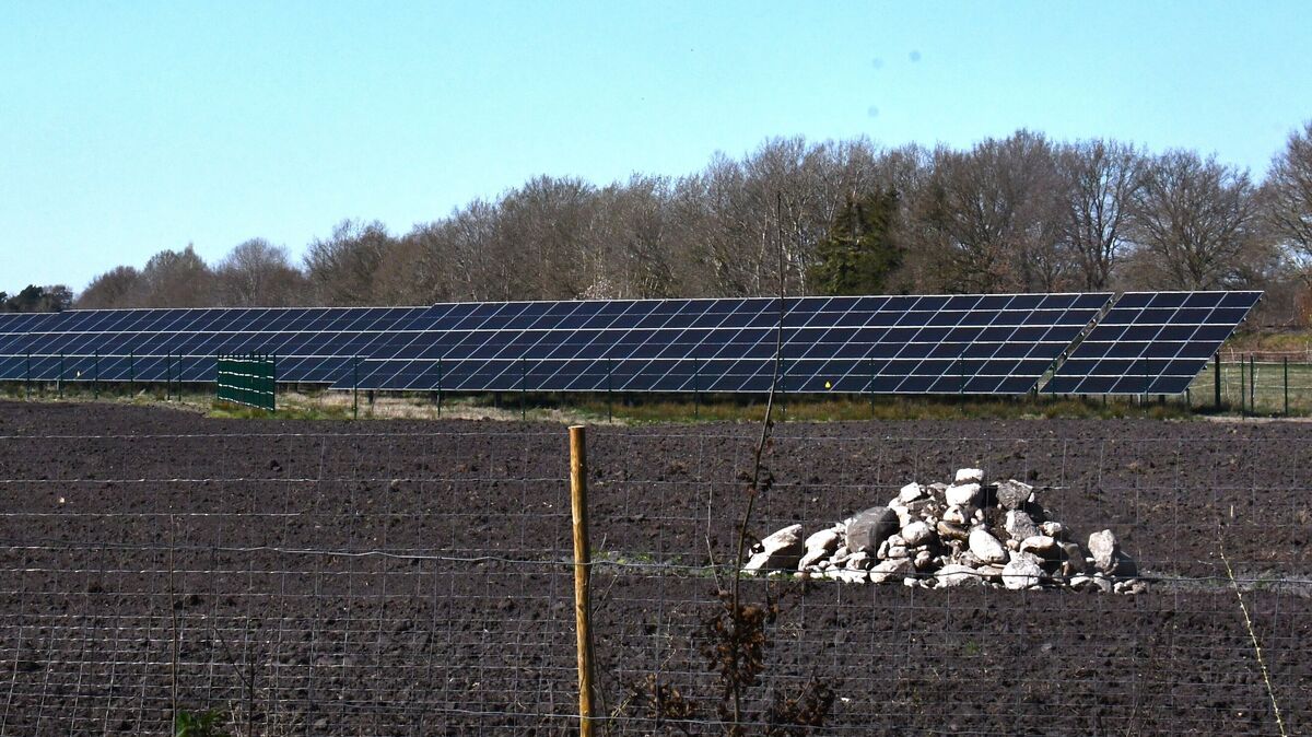 Im vergangenen Jahr ist in Hechthausen bereits ein Solarpark im Bereich Bornberg (Foto) an der Bahnstrecke in Betrieb gegangen. Jetzt steht die Realisierung des zweiten Projektes bevor. Foto: Schröder