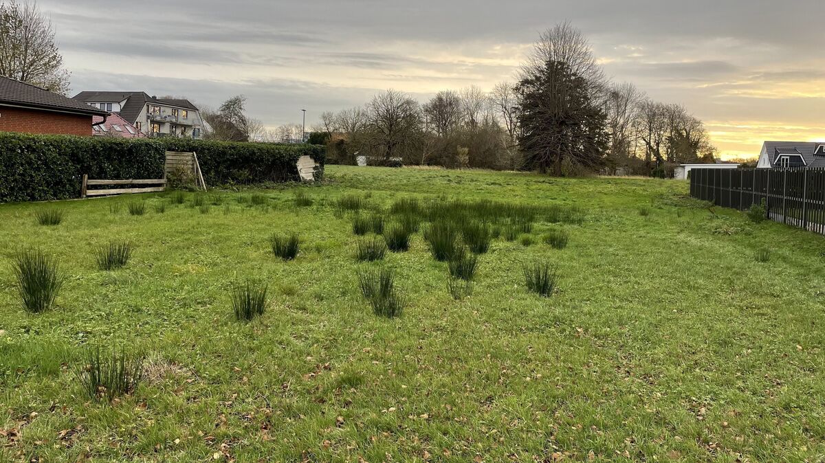 Die Stadt will in Groden ein kleines Baugebiet für Einfamilienhäuser ausweisen. Viele Bauplätze wird es nicht geben. Foto: Reese-Winne