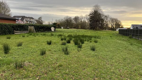 Kleines Neubaugebiet in Groden soll Familien ansprechen: Stadt lockt mit zwei Details