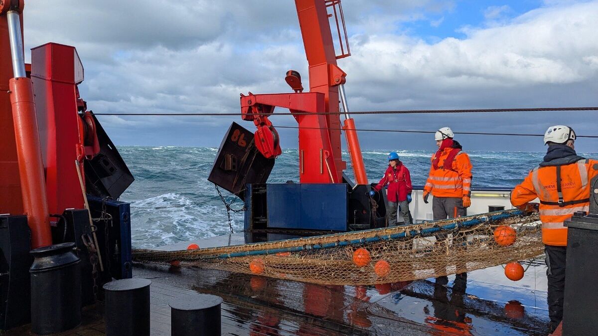Das Forschungsschiff „Heincke“ des Alfred-Wegener-Instituts untersucht Kriegswracks und Munitionsverklappungsgebiete in der Deutschen Bucht. Foto: Alfred-Wegener-Institut / Matthias Brenner